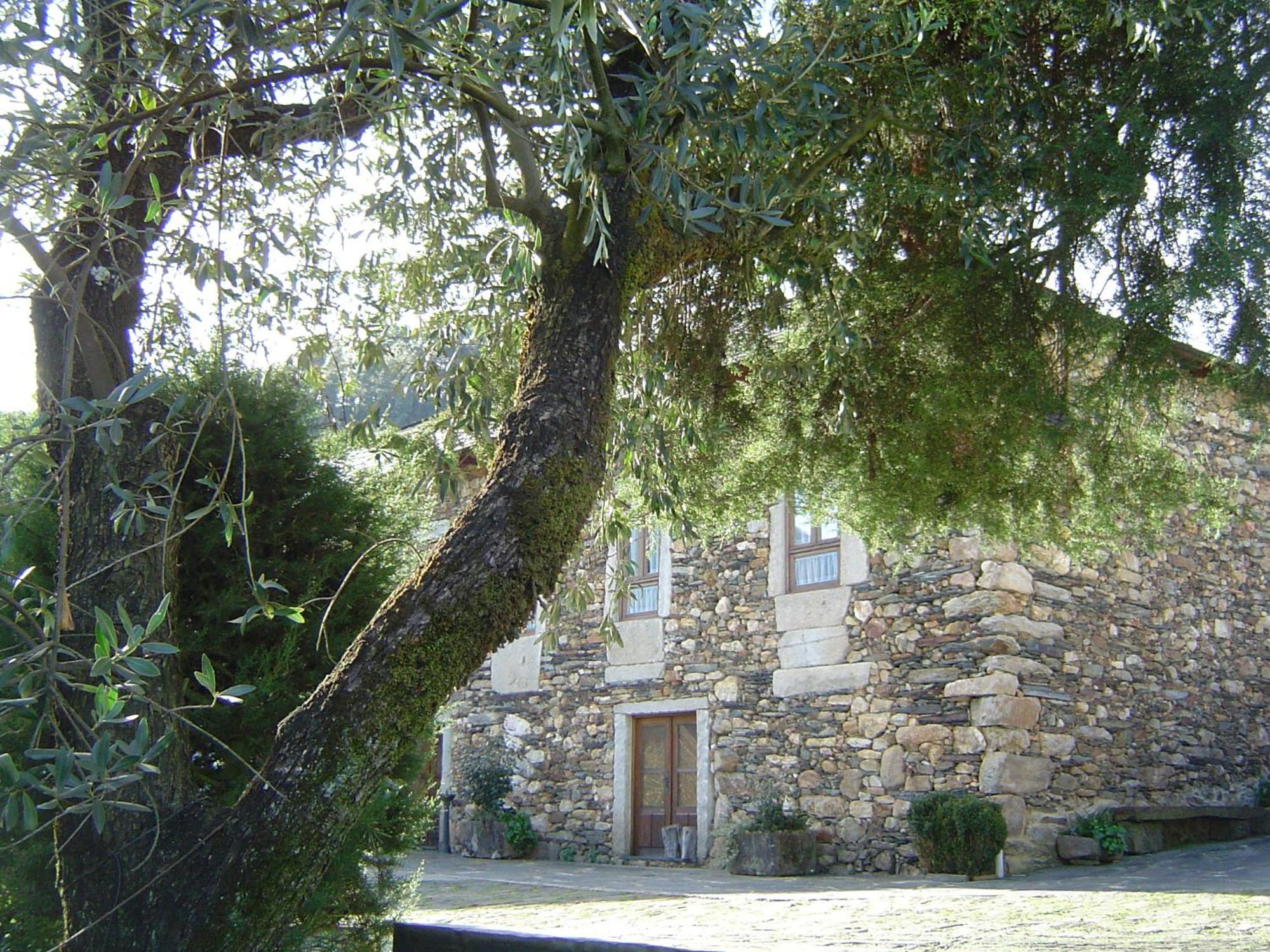 Penzion Casa Do Pinto Arouca Exteriér fotografie